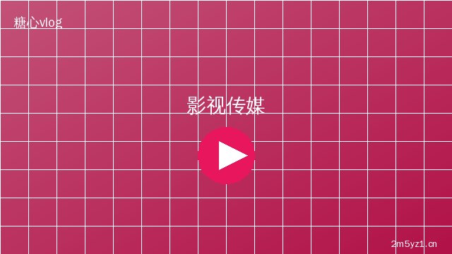 双飞影视传媒